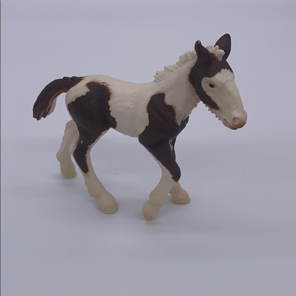 tinker foal